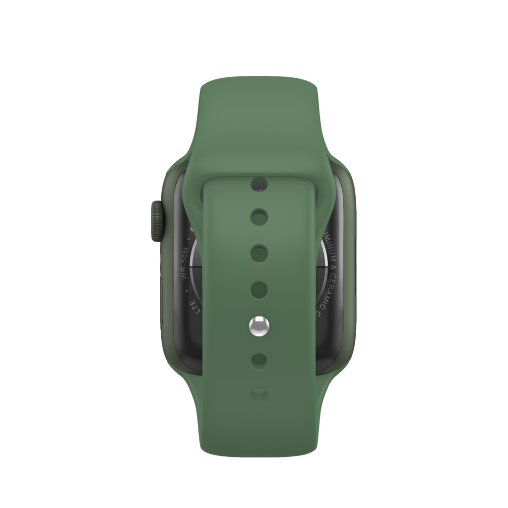 Watch Series 7 (45 mm)