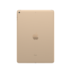 Apple ipad 9.7 5th Gen - eSim