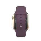 Watch Series 7 (45 mm)