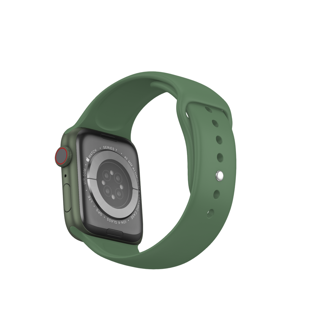 Watch Series 7 (45 mm)