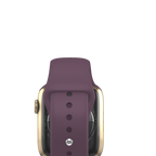 Watch Series 7 (45 mm)