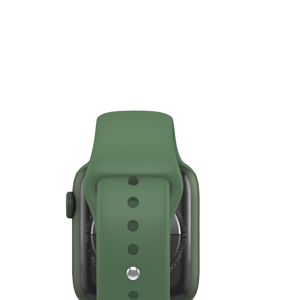 Watch Series 7 (45 mm)